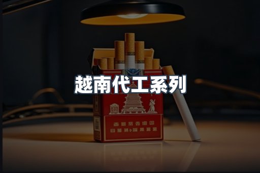 越南代工系列